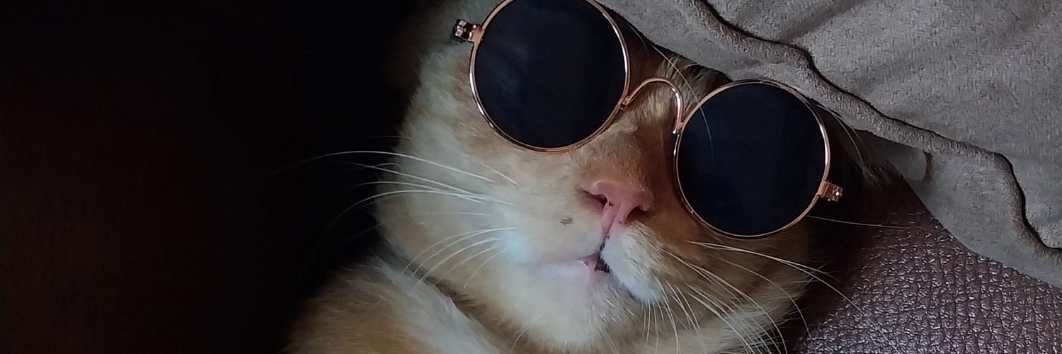Physicssstar_'s profile banner image