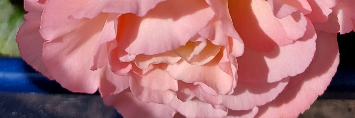 Zealouskipper's profile banner image