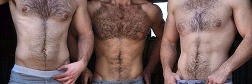 ChestsHairy's profile banner image