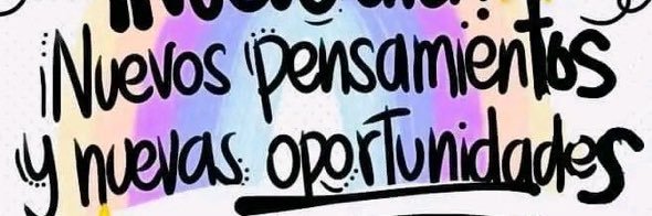 popuccia's profile banner image