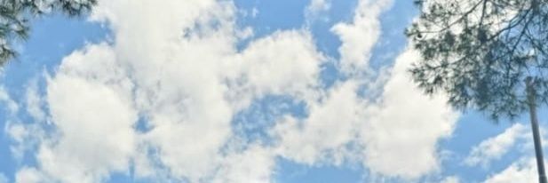 Edunoeh's profile banner image