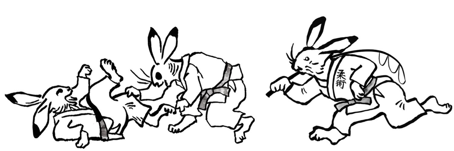 Rabbit🐇🎣📖🥋 banner
