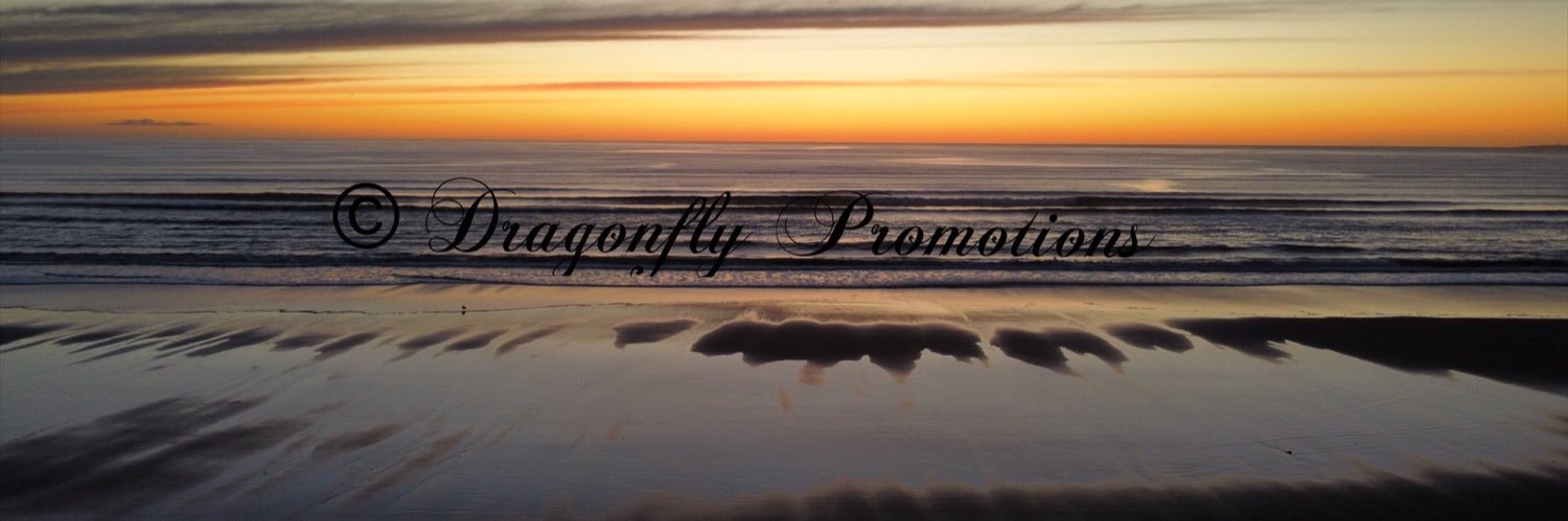 DragonflyPromo2's profile banner image
