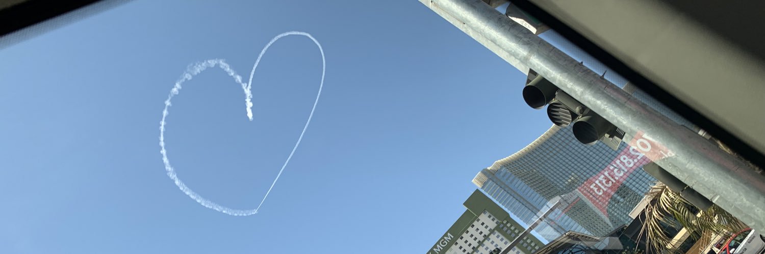 Lu banner