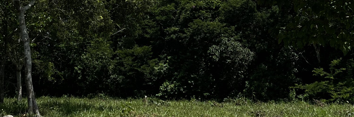 williaaaaamG's profile banner image