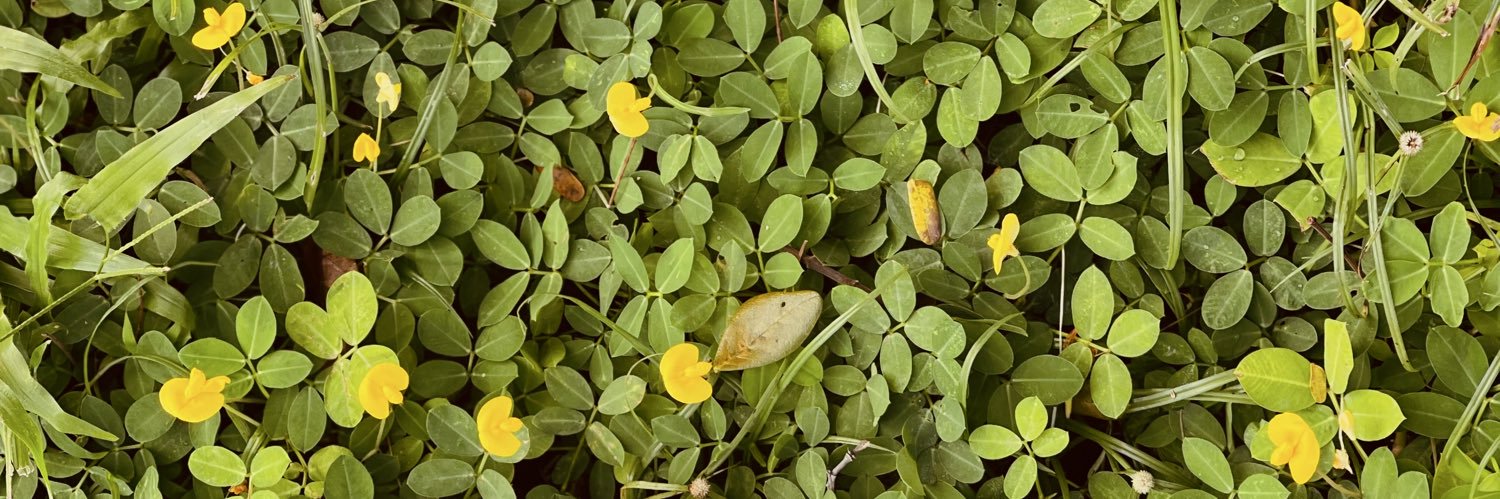 ichigi skripsi era banner