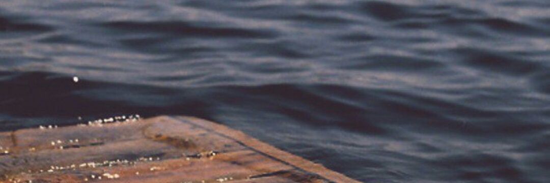 bqtr_5's profile banner image