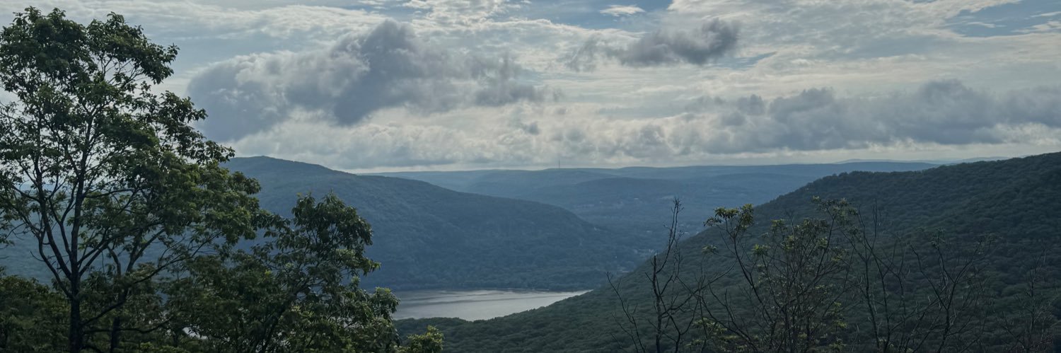 JournalistErinP's profile banner image
