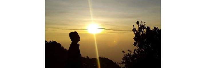 nonovendy's profile banner image