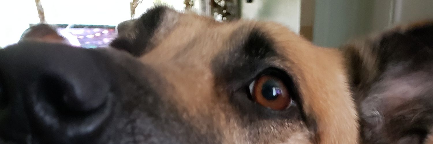 Space_Vaquero's profile banner image