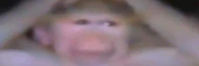 erengnen's profile banner image