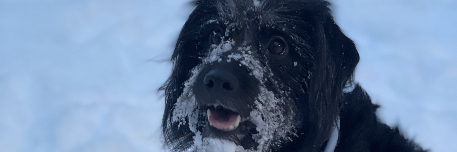 sgulseth's profile banner image