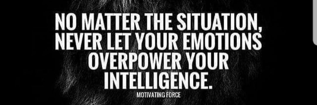 🌐DeFi Shawn🔥 banner