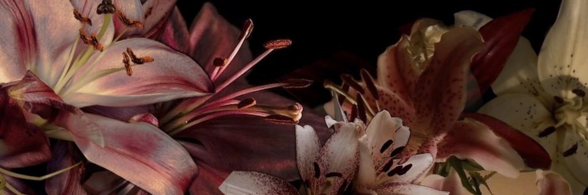 София Рая banner