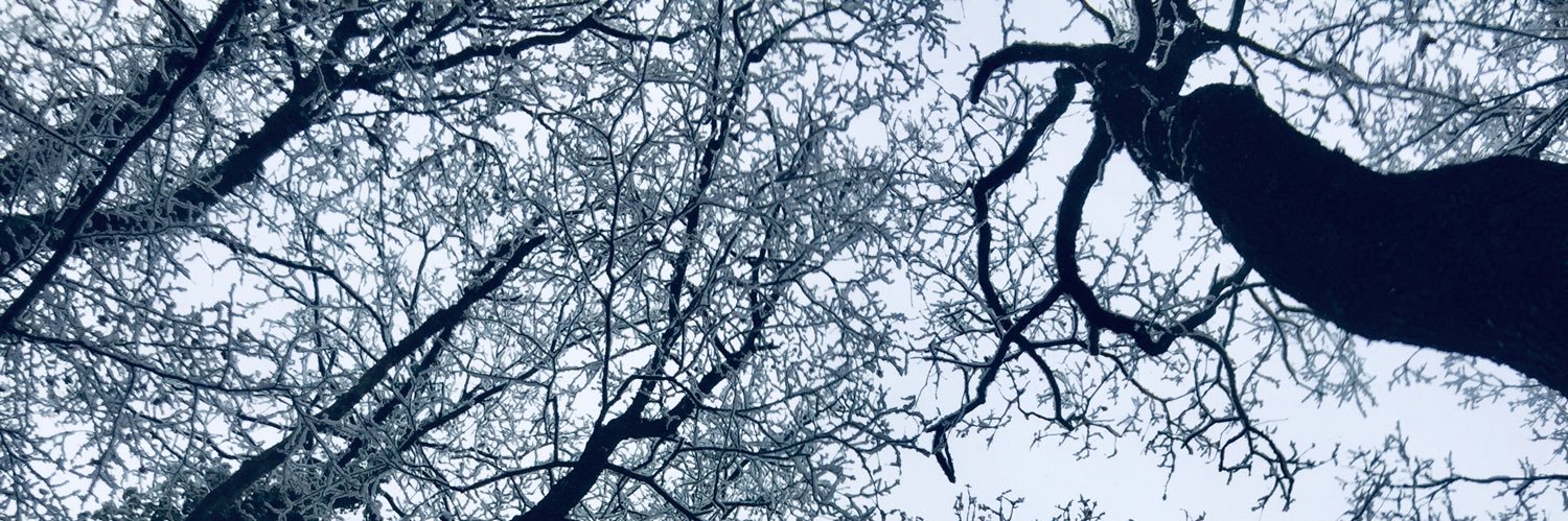 JoeGormann's profile banner image