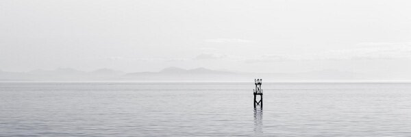 rvieito Profile Banner