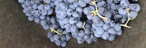 silviaculell Profile Banner