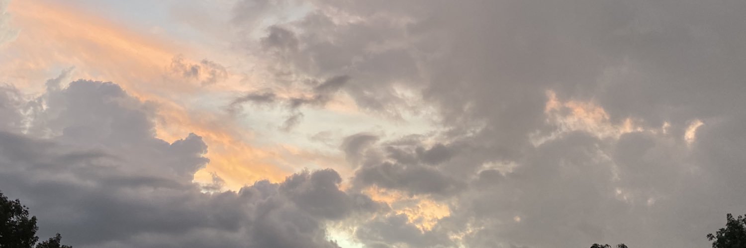 wtfisyd's profile banner image