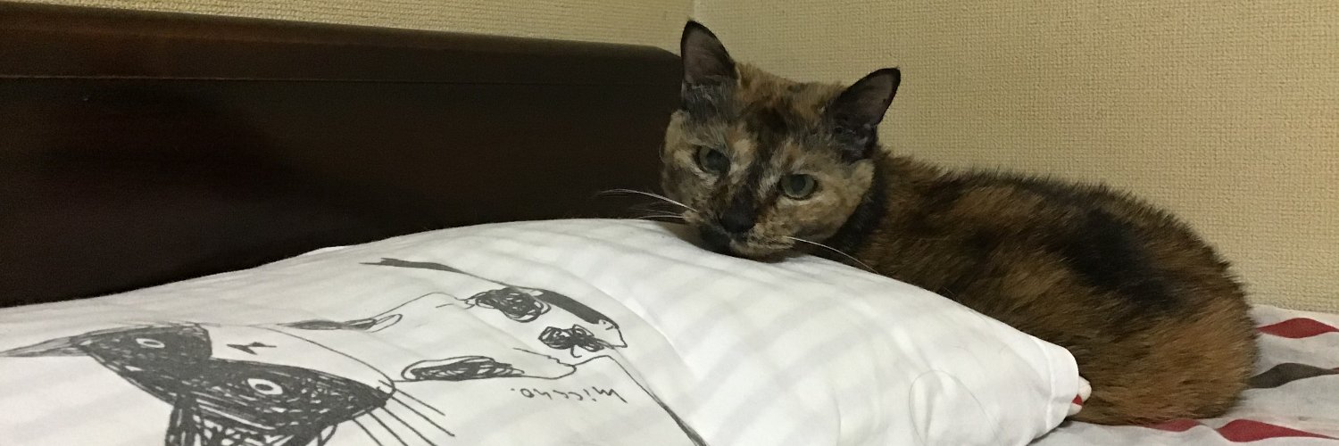 kiyonochap's profile banner image