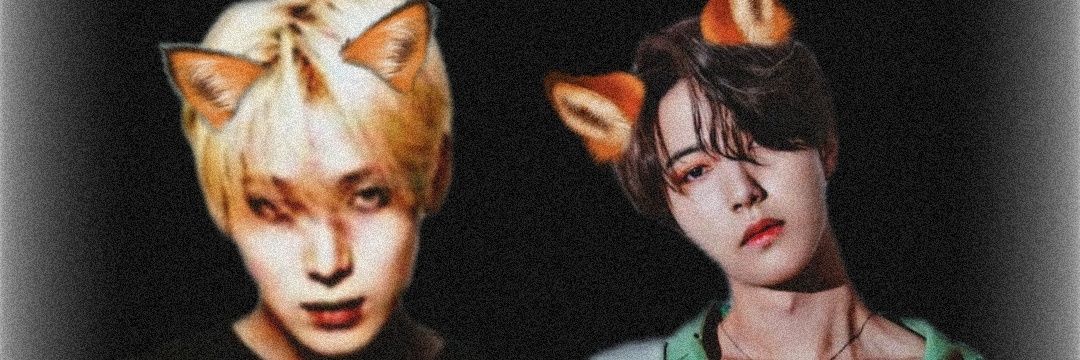 RenjunFoxSunoo❤️ banner