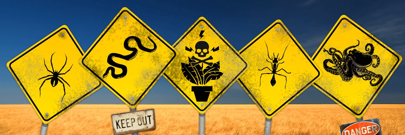 Arcadio Quijada banner