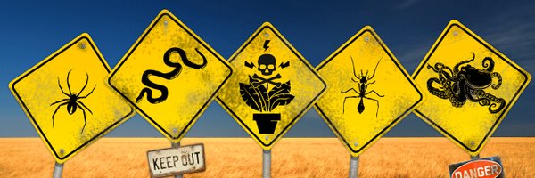 arq Profile Banner