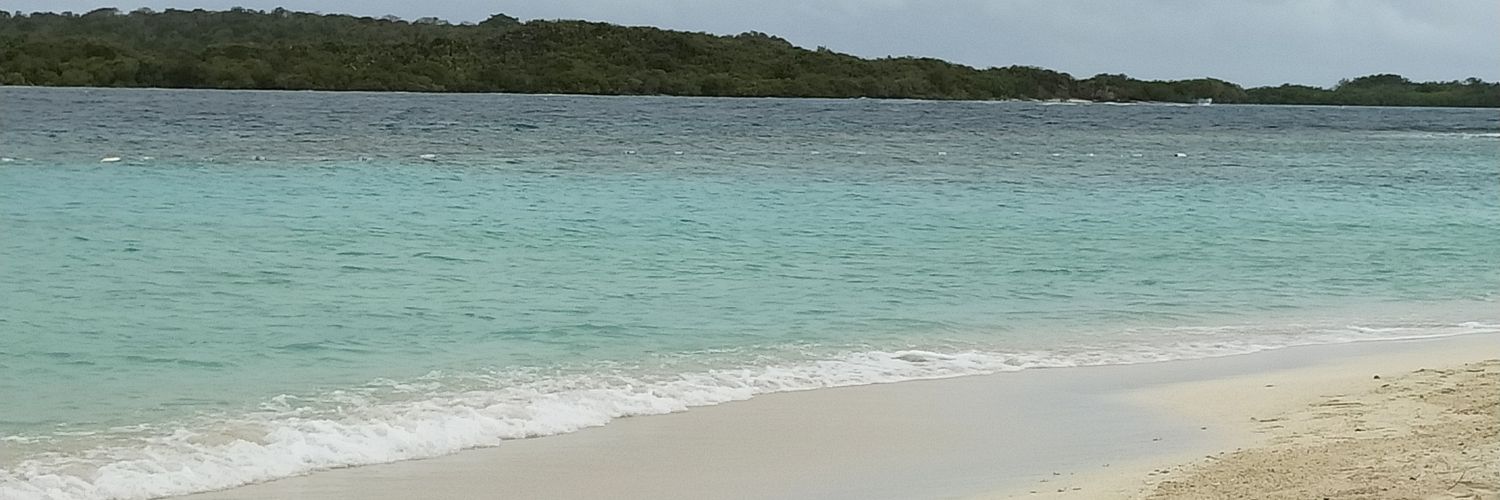 eetr81's profile banner image