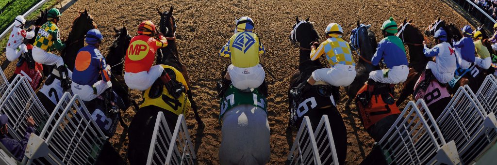 BloodHorse's banner