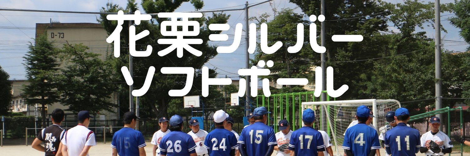 silver_softball's profile banner image