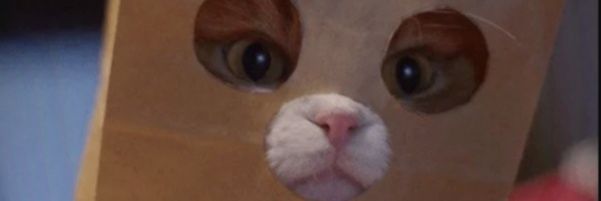 Mihrarm's profile banner image