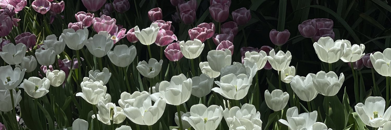 โทมะโท้ 🍅 banner