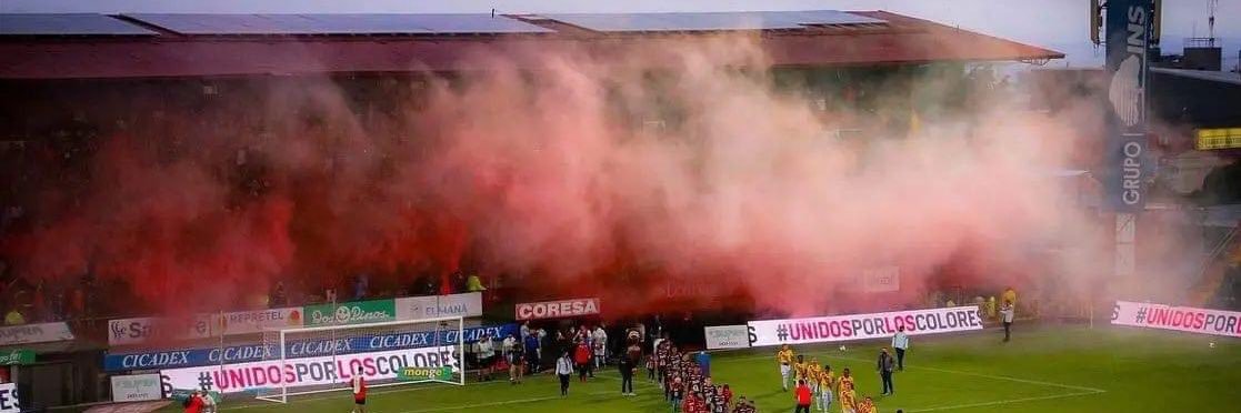 EL TOXICO ❤️🖤🦁 banner