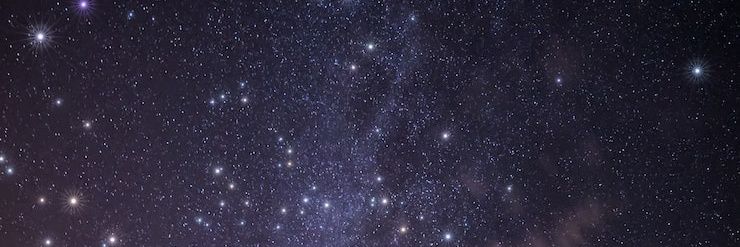 Daniela Galatti banner