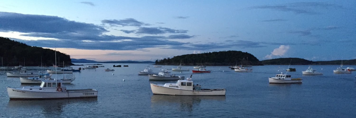 Michael James banner