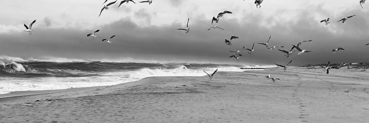 Jessica Shurer, MSW, LCSW banner