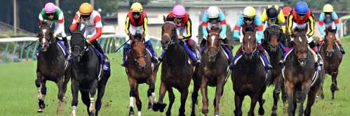 たける競馬先生 banner