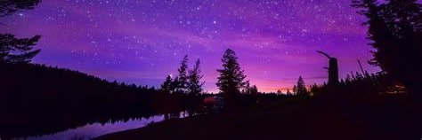 lexicalfallacy's profile banner image