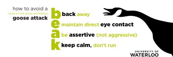 caldwellian's profile banner image