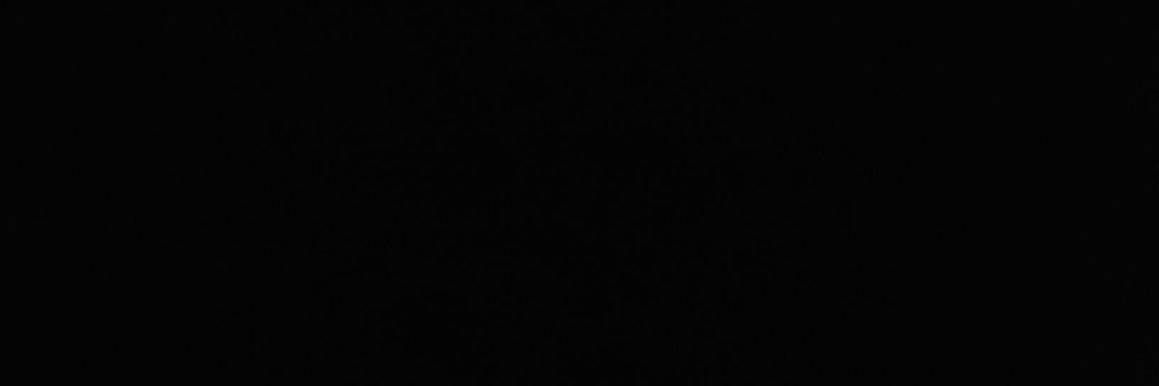 Ho3ein banner