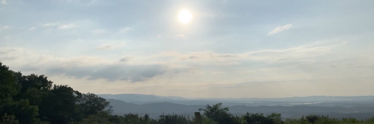 DogJarvous's profile banner image