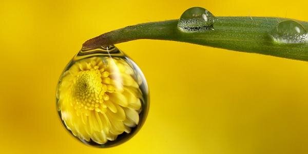 a_nitika's profile banner image