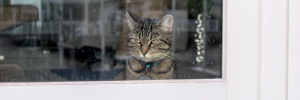 gabeclasson Profile Banner