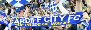 Cardiff_EPL's profile banner image