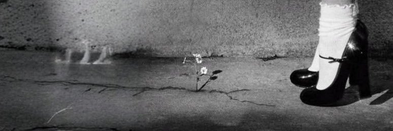 XJoan___'s profile banner image