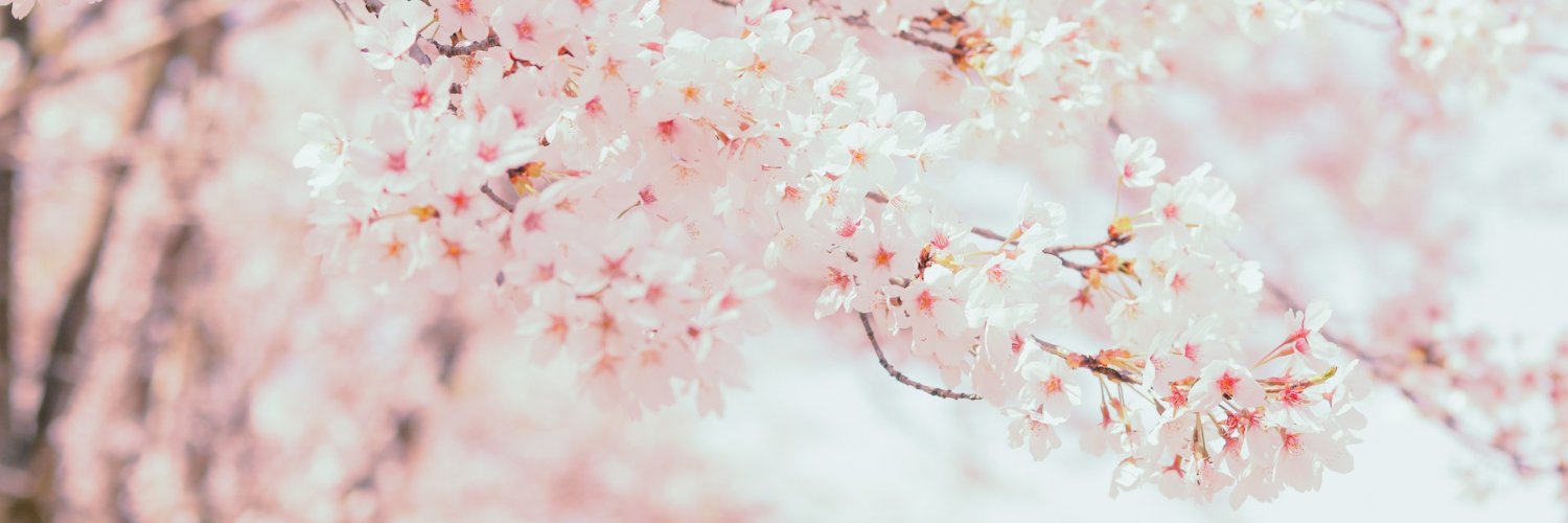 Ryu 🐰りゅうひよこ@CommOpen banner