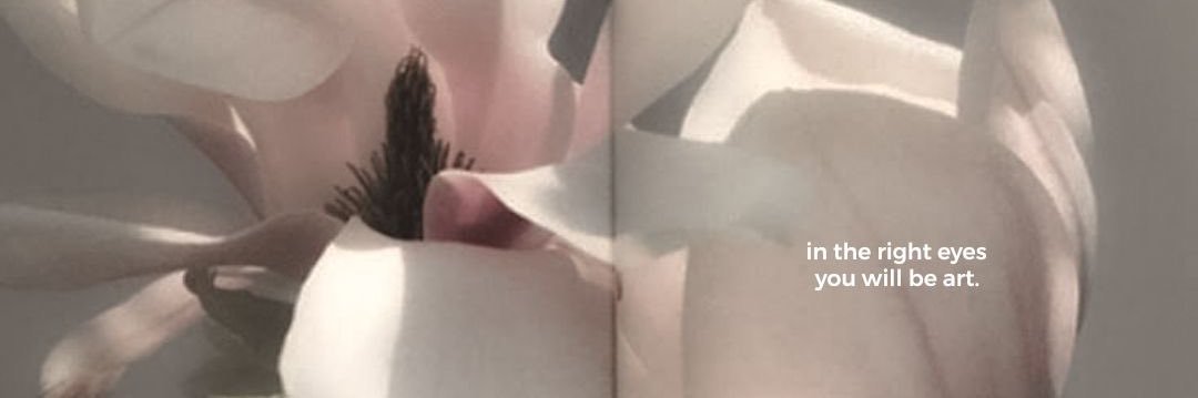vs banner