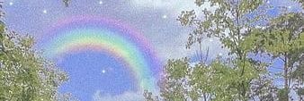 ploykookv6's profile banner image