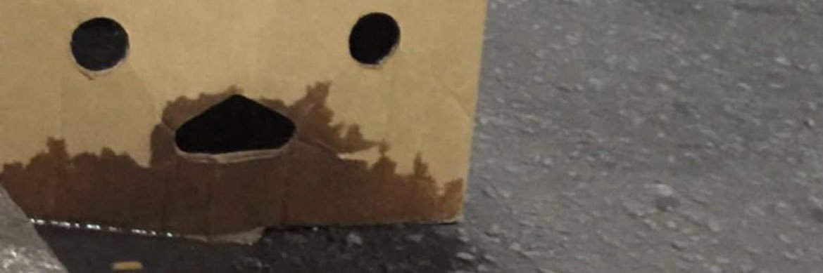 chansen73's profile banner image