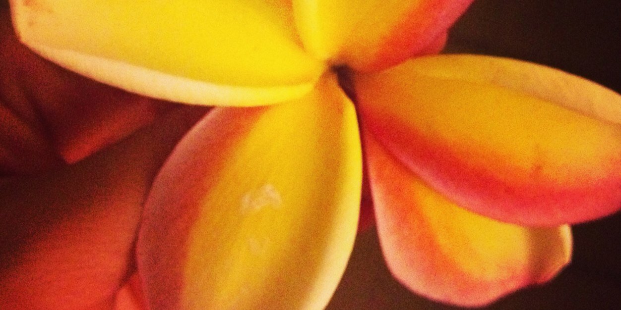 BERENICENAV's profile banner image