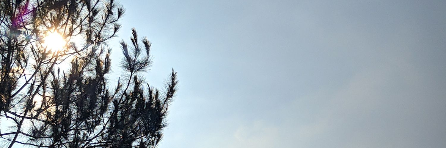 lembonbon's profile banner image